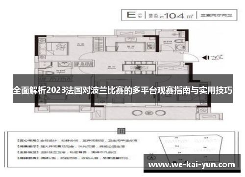 全面解析2023法国对波兰比赛的多平台观赛指南与实用技巧