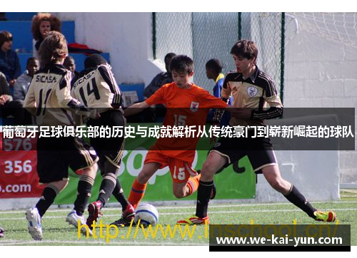葡萄牙足球俱乐部的历史与成就解析从传统豪门到崭新崛起的球队